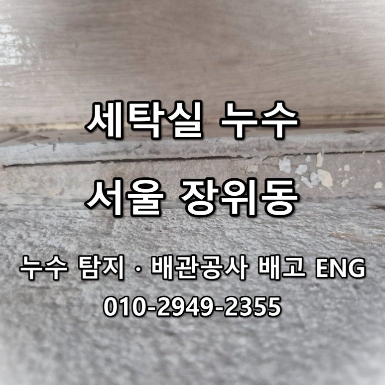 세탁실 누수, 성북구 장위동 걸레받이 들뜸 점검
